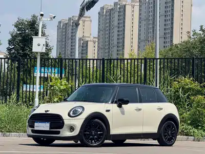 MINI MINI 2020