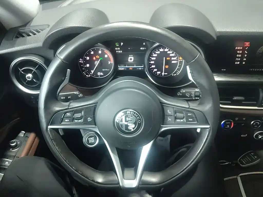 Alfa Romeo Stelvio 2019 — фото 11