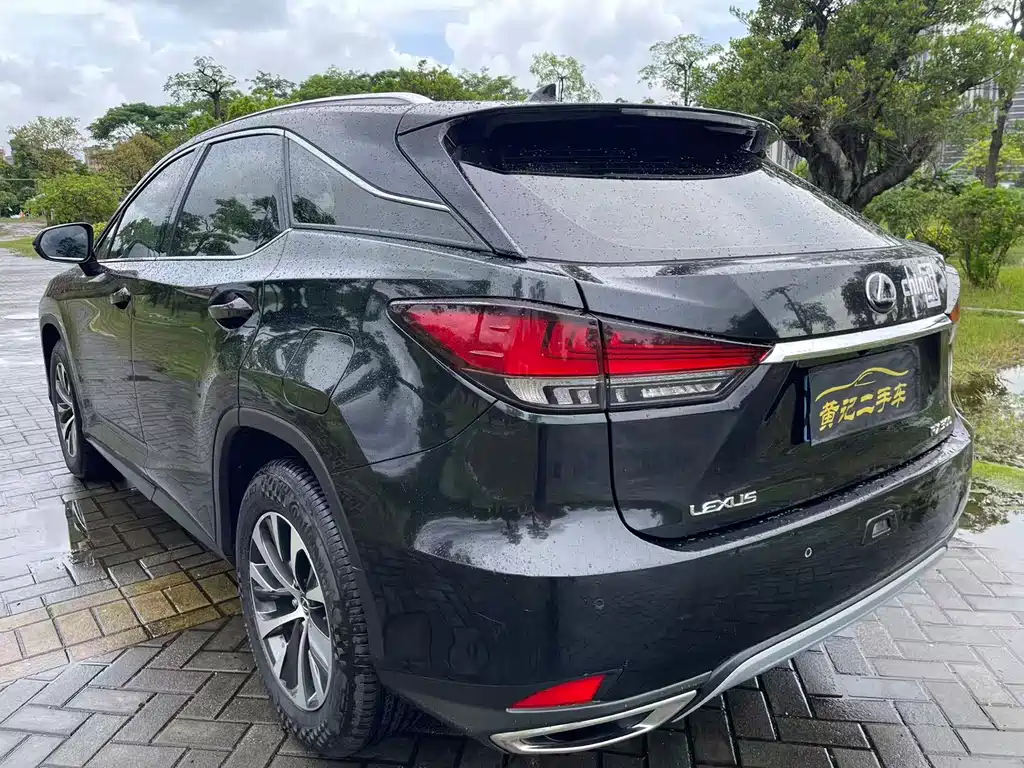Lexus RX 2020 — фото 12