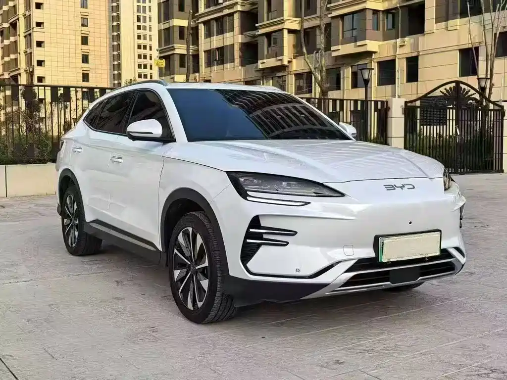 BYD Song PLUS New Energy 2025 — фото 3