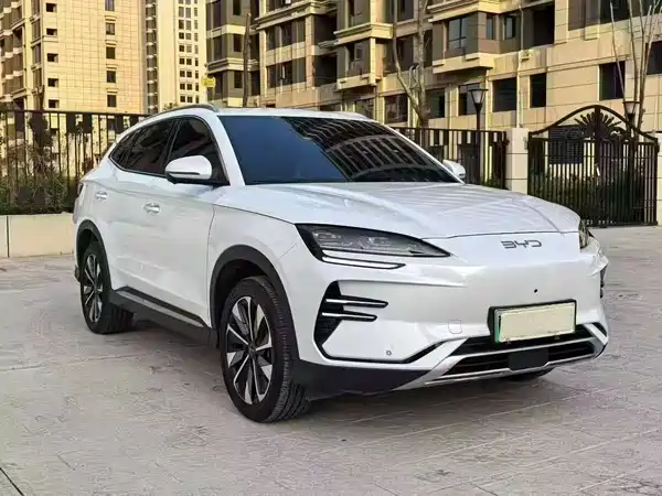 BYD Song PLUS New Energy 2025