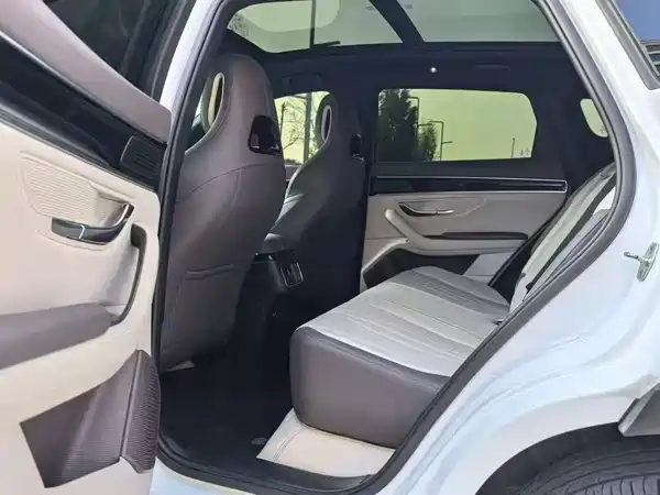 BYD Song PLUS New Energy 2025