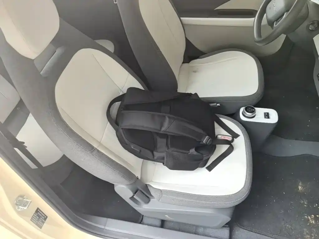Geely Galaxy Panda 2025 — фото 25