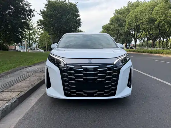 BYD Summer 2025