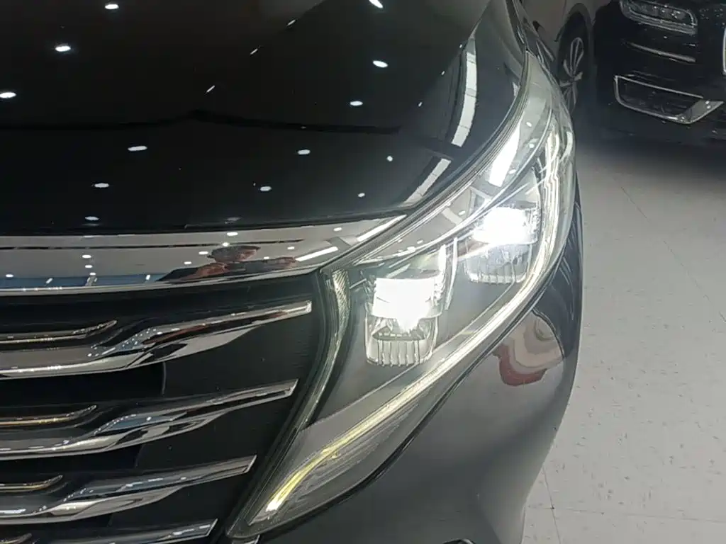GAC Trumpchi M8 2018 — фото 24