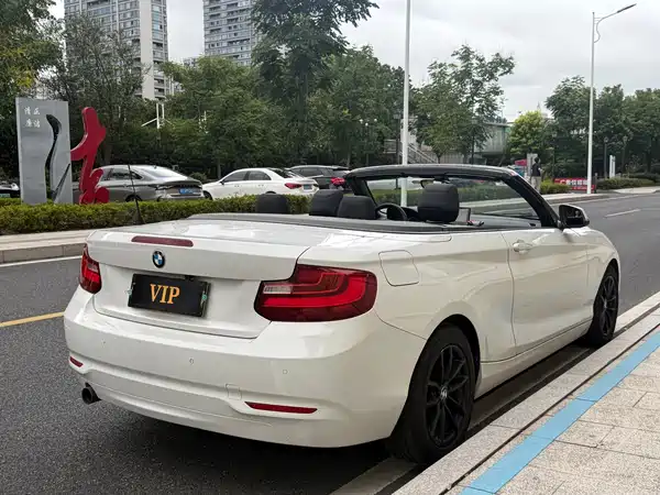 BMW 2 Series 2015