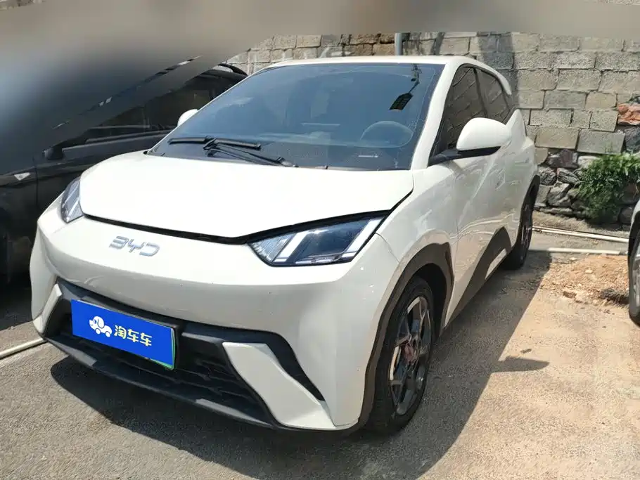 BYD Seagull 2024