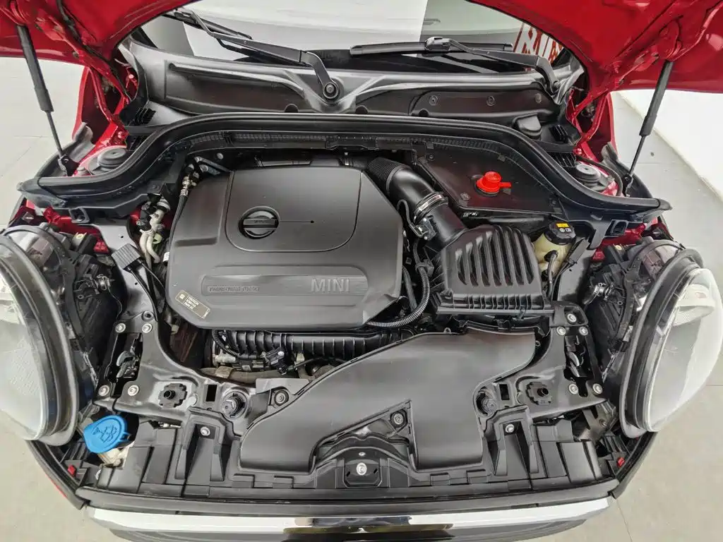 MINI MINI 2019