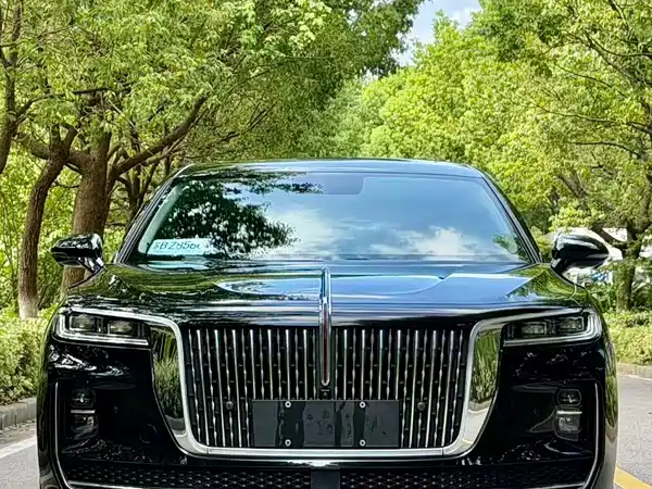 Hongqi H9 2021