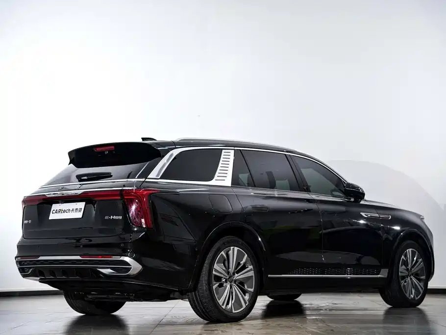 Hongqi E-HS9 2023 — фото 5