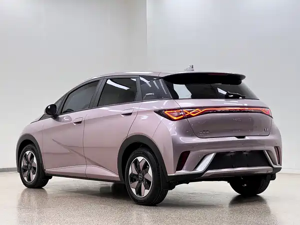 BYD Dolphin 2024