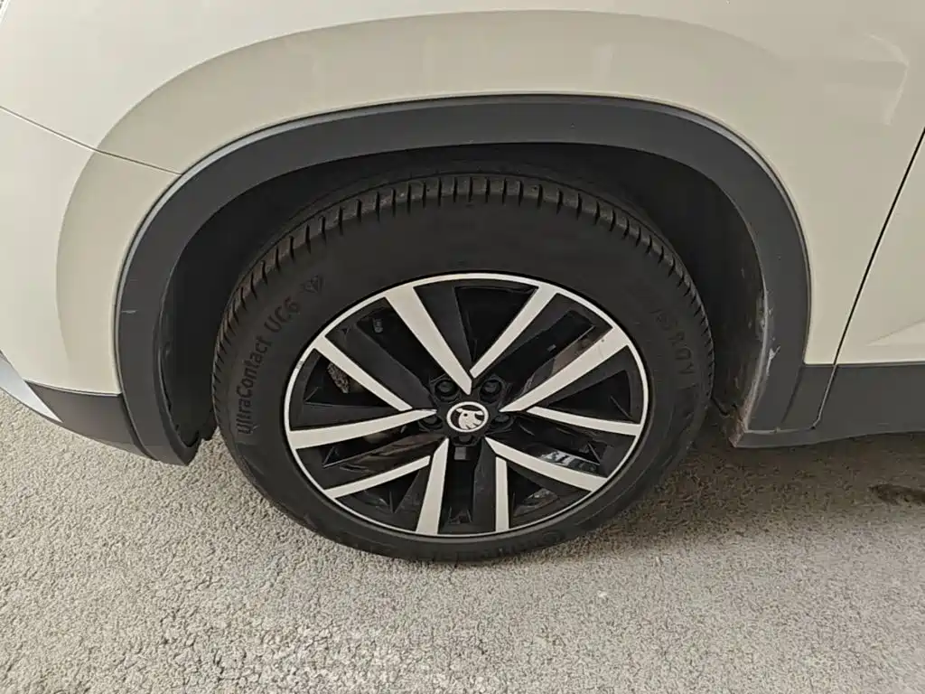 Skoda Kamiq 2019 — фото 25