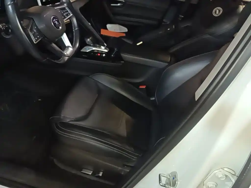 BYD Pro New Energy 2020 — фото 15