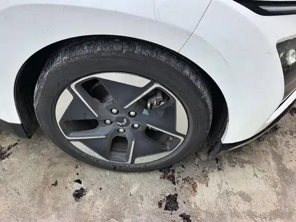 Wuling Starlight 2024