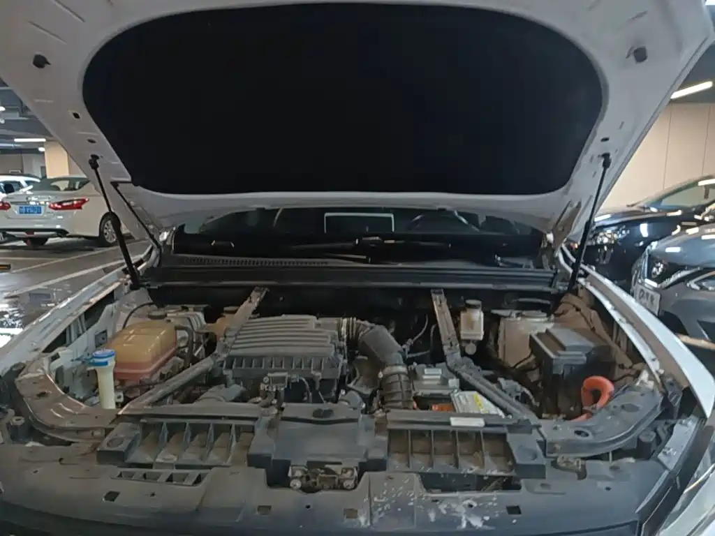 BYD Pro New Energy 2020 — фото 20