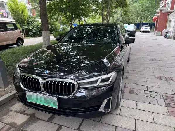 BMW 5 Series New Energy 2020