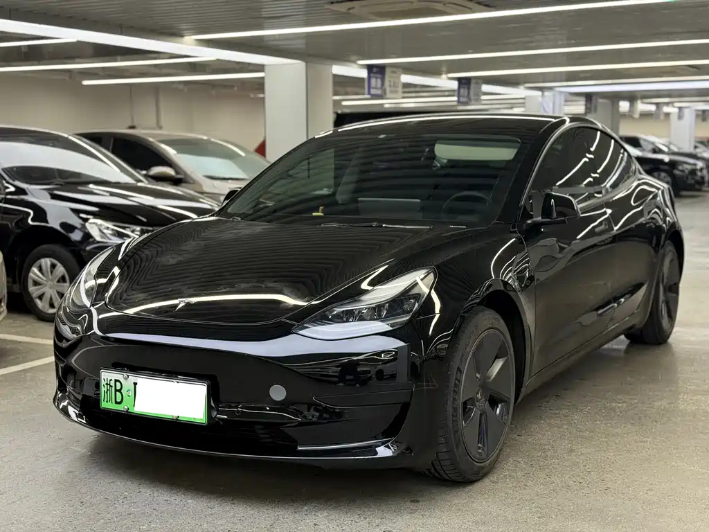 Tesla Model 3 2021