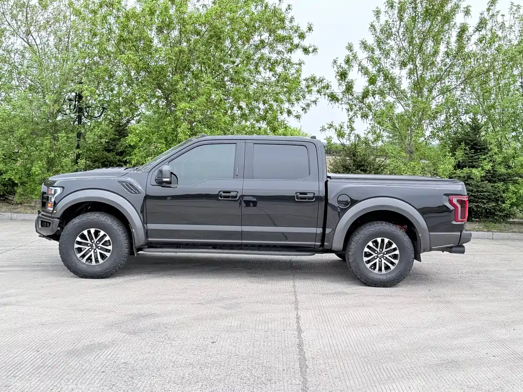 Ford F-150 Raptor 2020 — фото 15