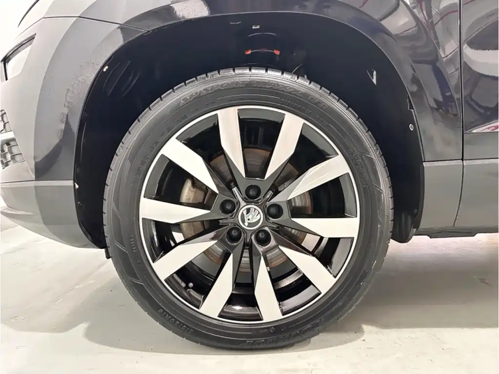 Skoda Karoq 2018 — фото 14