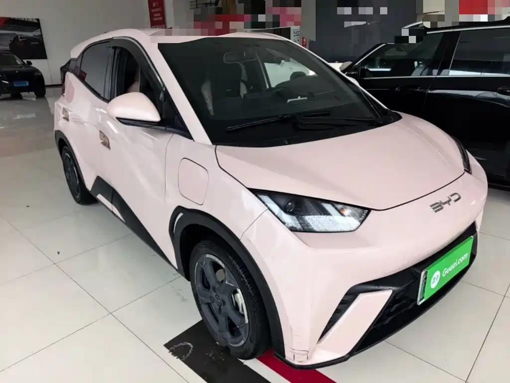 BYD Seagull 2024