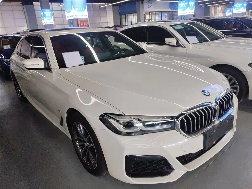 BMW 5 Series New Energy 2021 — фото 22