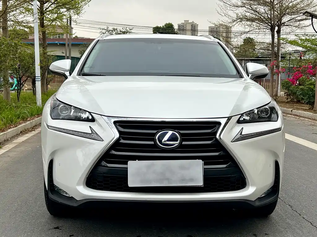 Lexus NX 2016 — фото 2