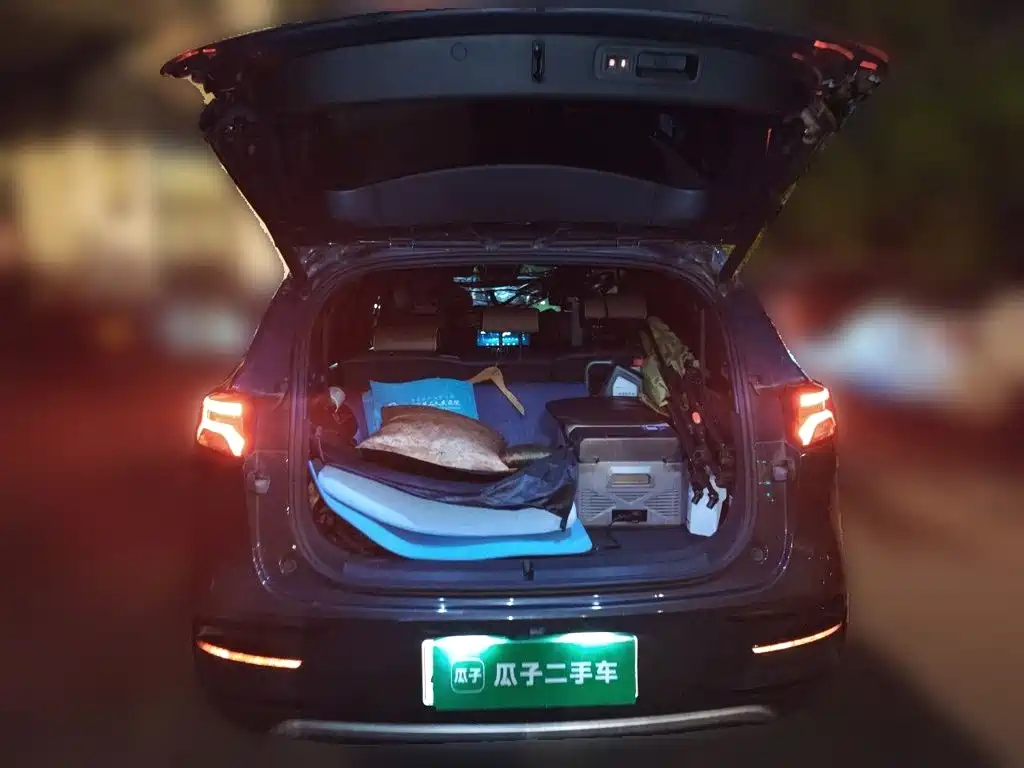 BYD Tang New Energy 2023 — фото 10