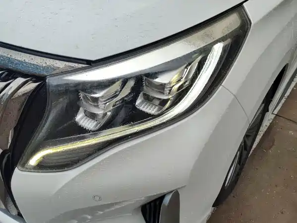 GAC Trumpchi M8 2021
