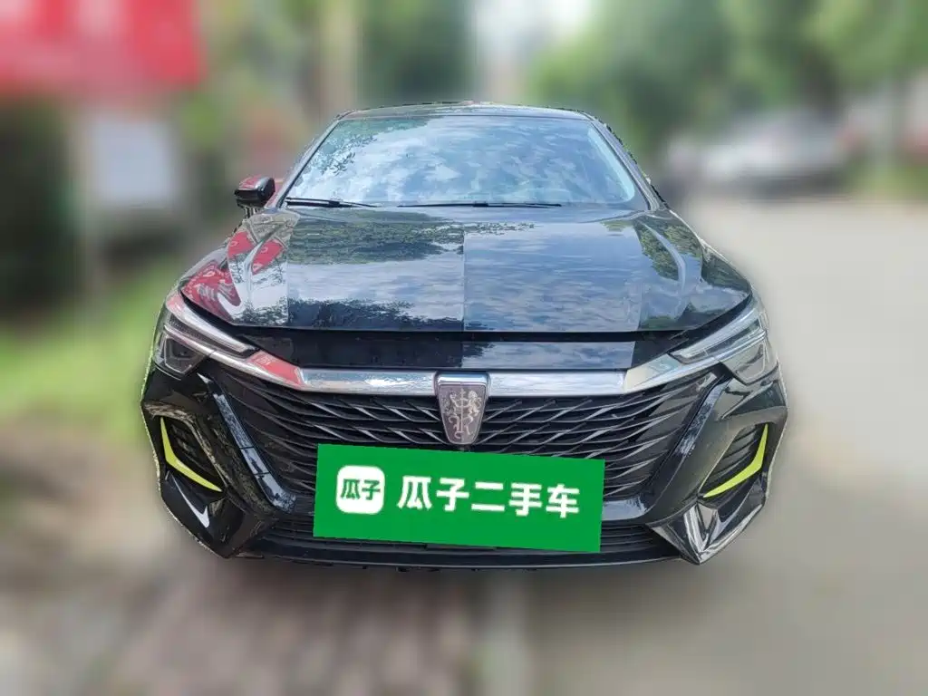Roewe MAX 2021 — фото 24