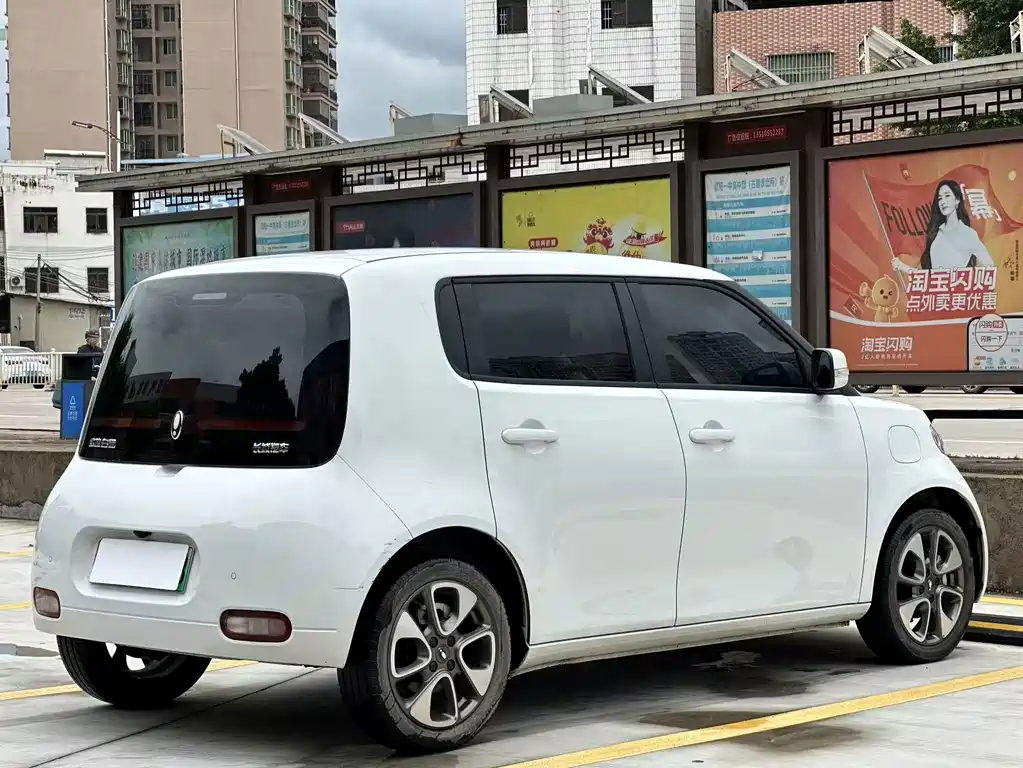 Ora White Cat 2022
