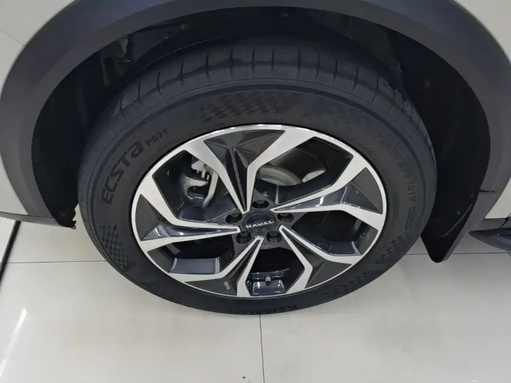 Haval Xiaolong MAX 2023 — фото 23