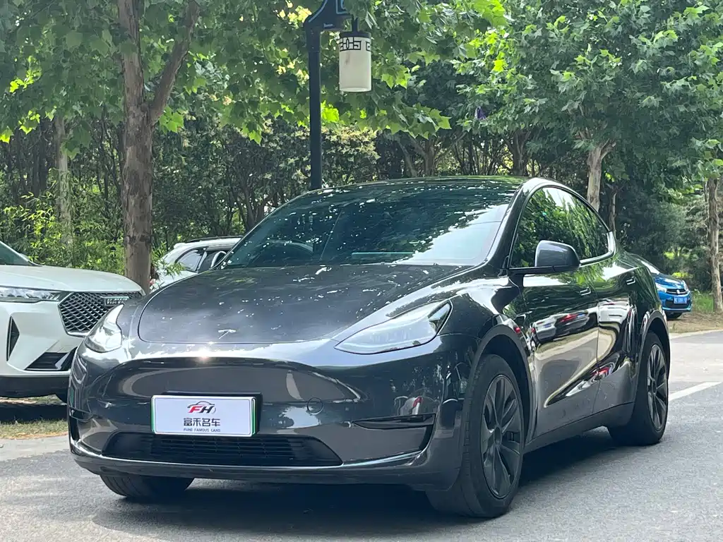 Tesla Model Y 2024 — фото 1