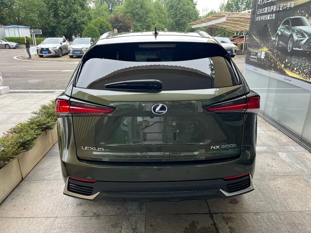 Lexus NX 2020 — фото 6