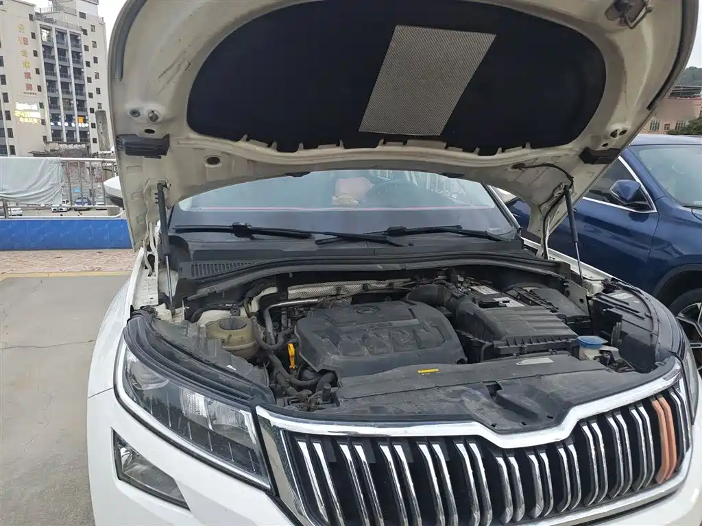 Skoda Kodiaq 2018 — фото 20