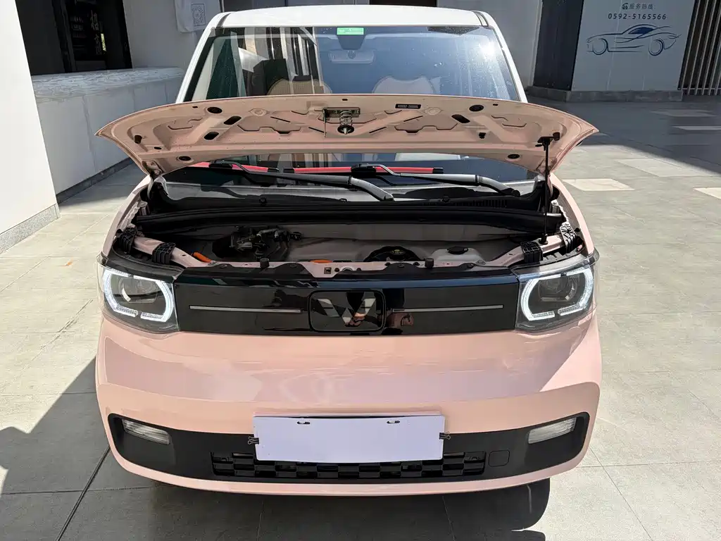 Wuling Hongguang MINIEV 2022