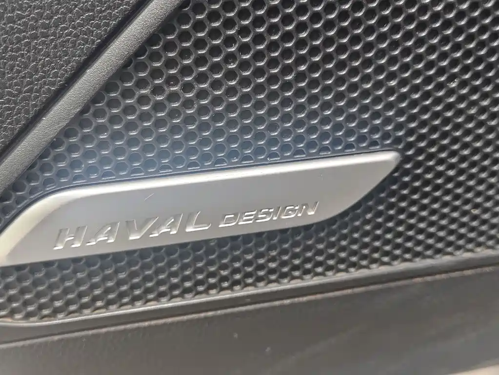 Haval Big Dog 2022 — фото 13