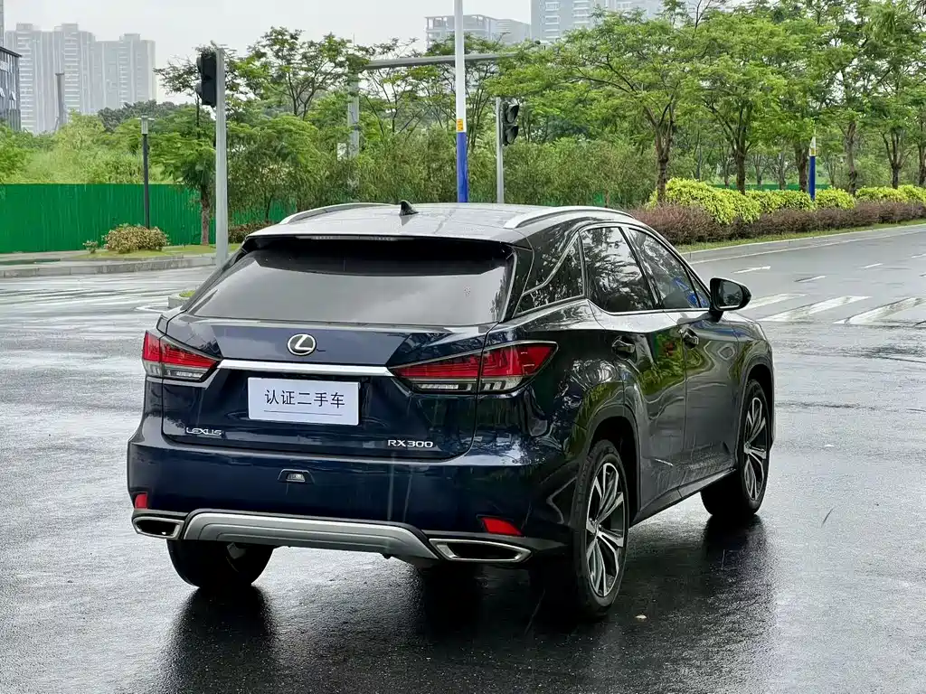 Lexus RX 2022 — фото 5