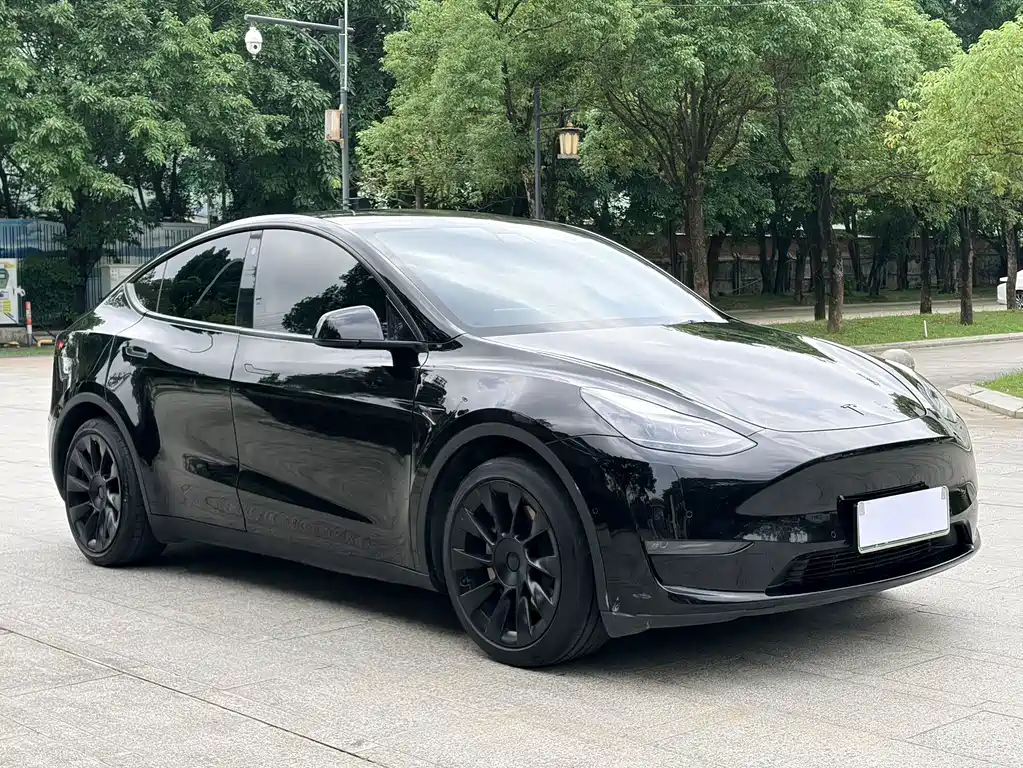 Tesla Model Y 2021 — фото 3