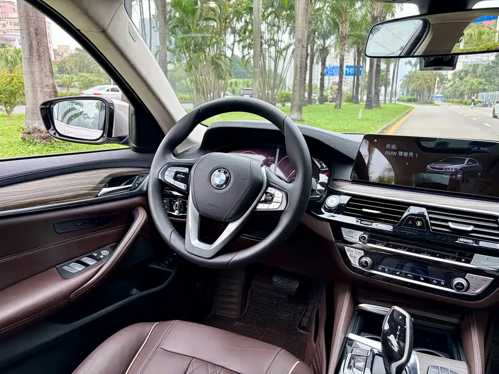 BMW 5 Series New Energy 2019 — фото 14