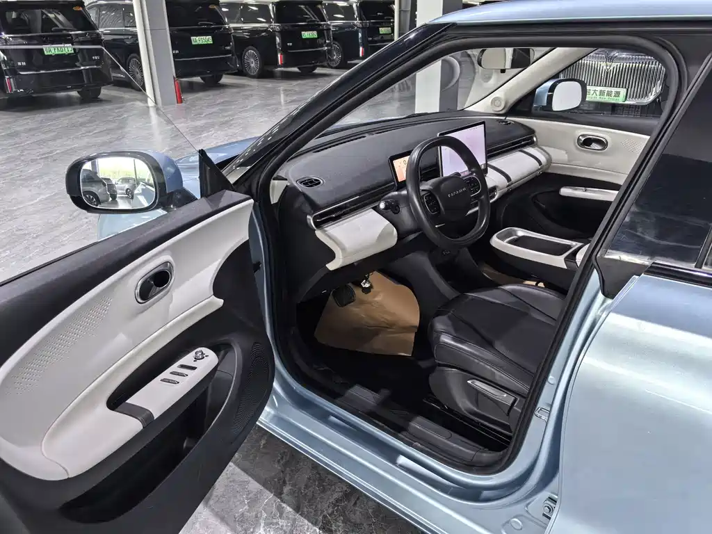 Dongfeng Nano 01 2024