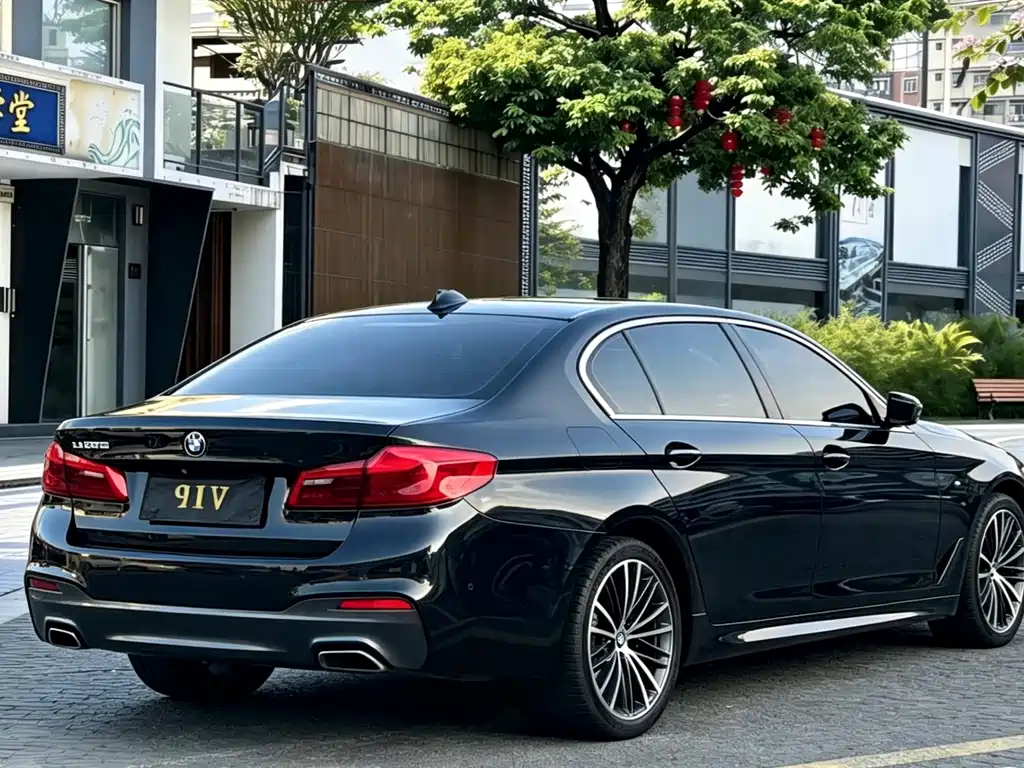 BMW 5 Series 2019 — фото 7