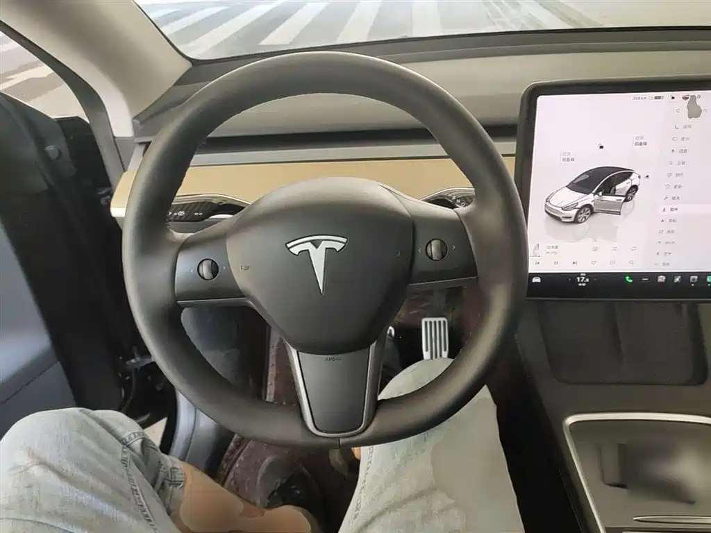 Tesla Model Y 2023 — фото 11