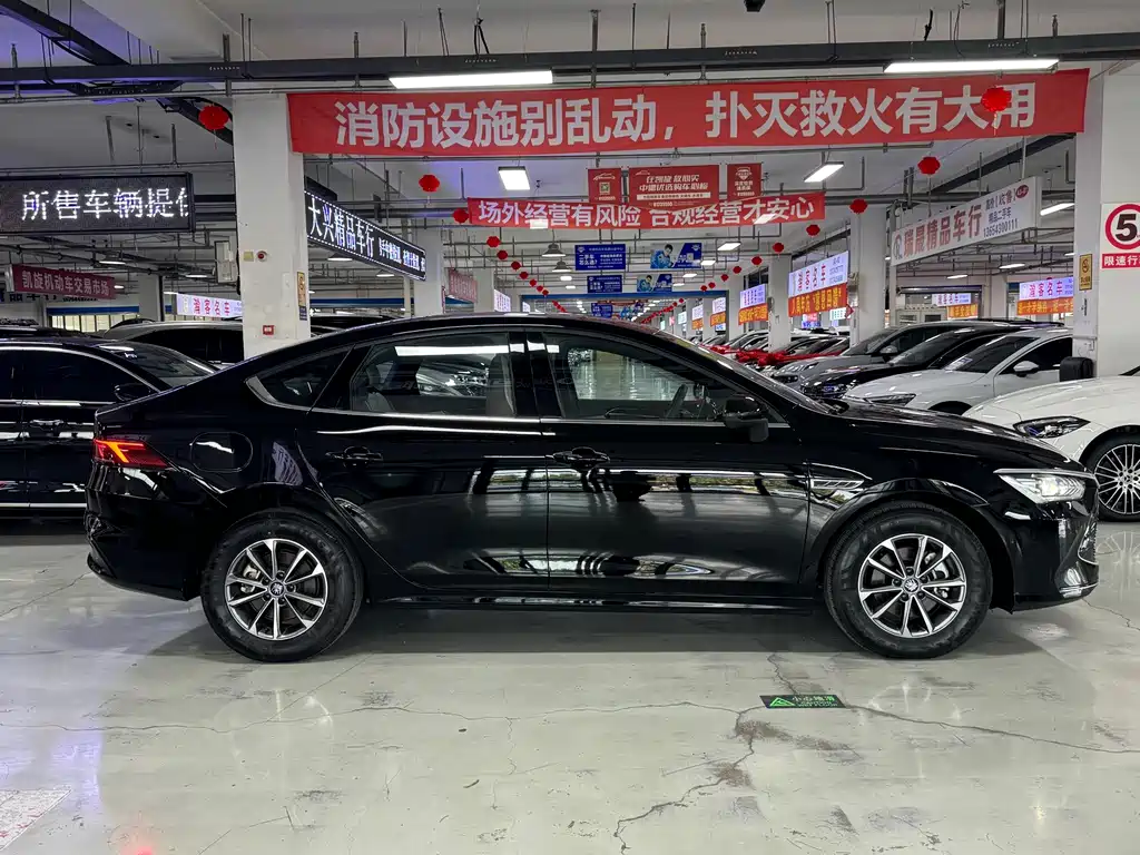 BYD Qin PLUS 2024 — фото 4