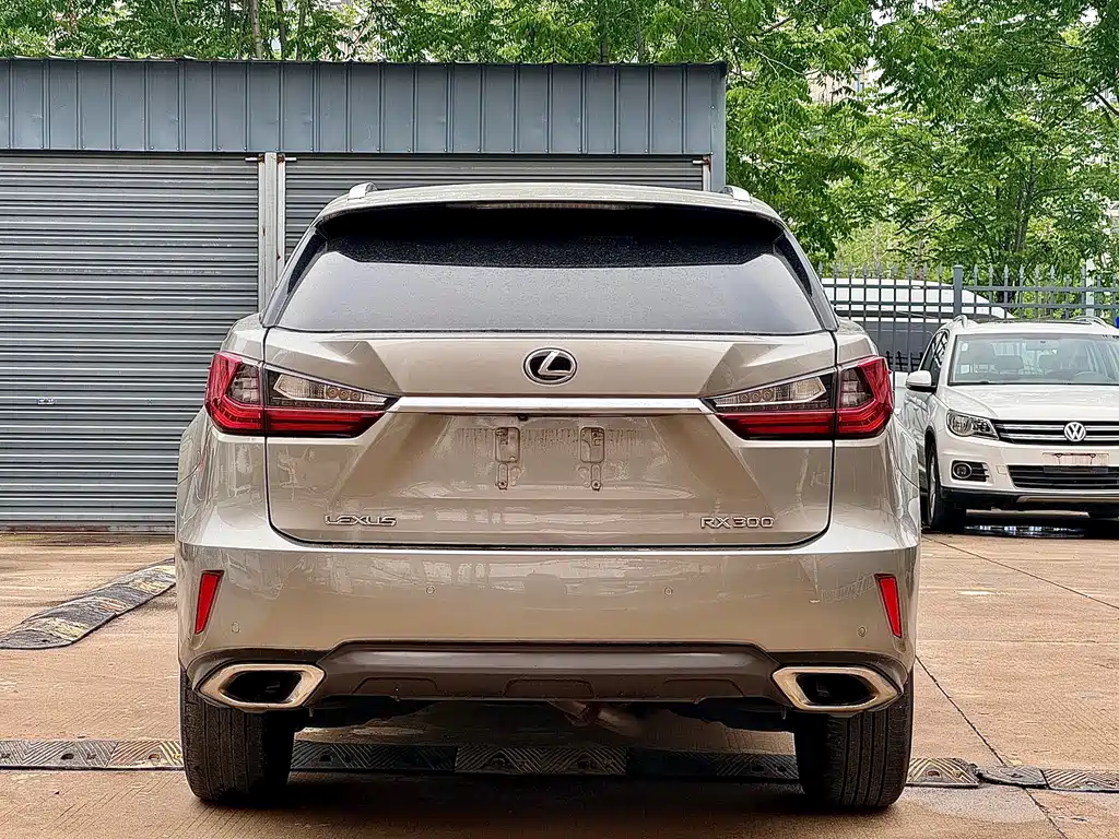 Lexus RX 2019 — фото 10