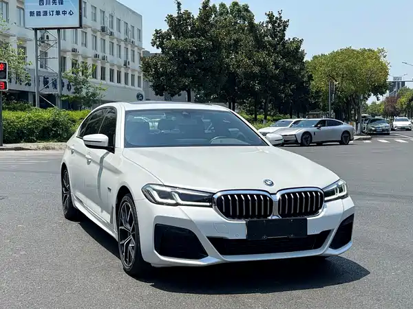 BMW 5 Series New Energy 2023