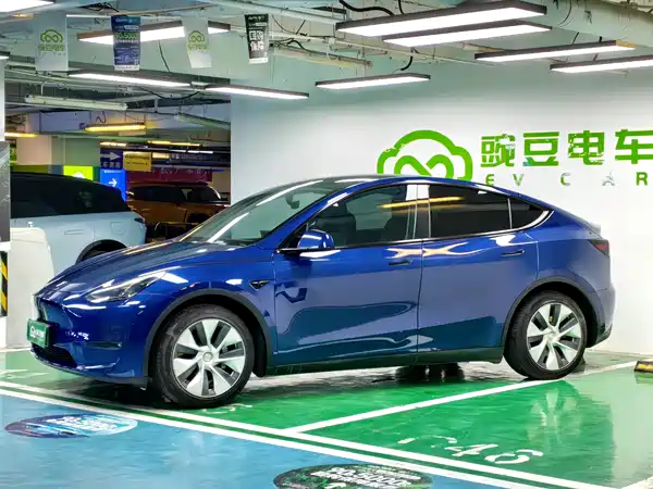 Tesla Model Y 2021