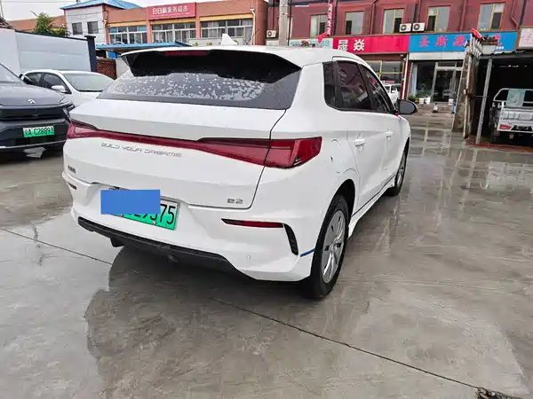 BYD e2 2019