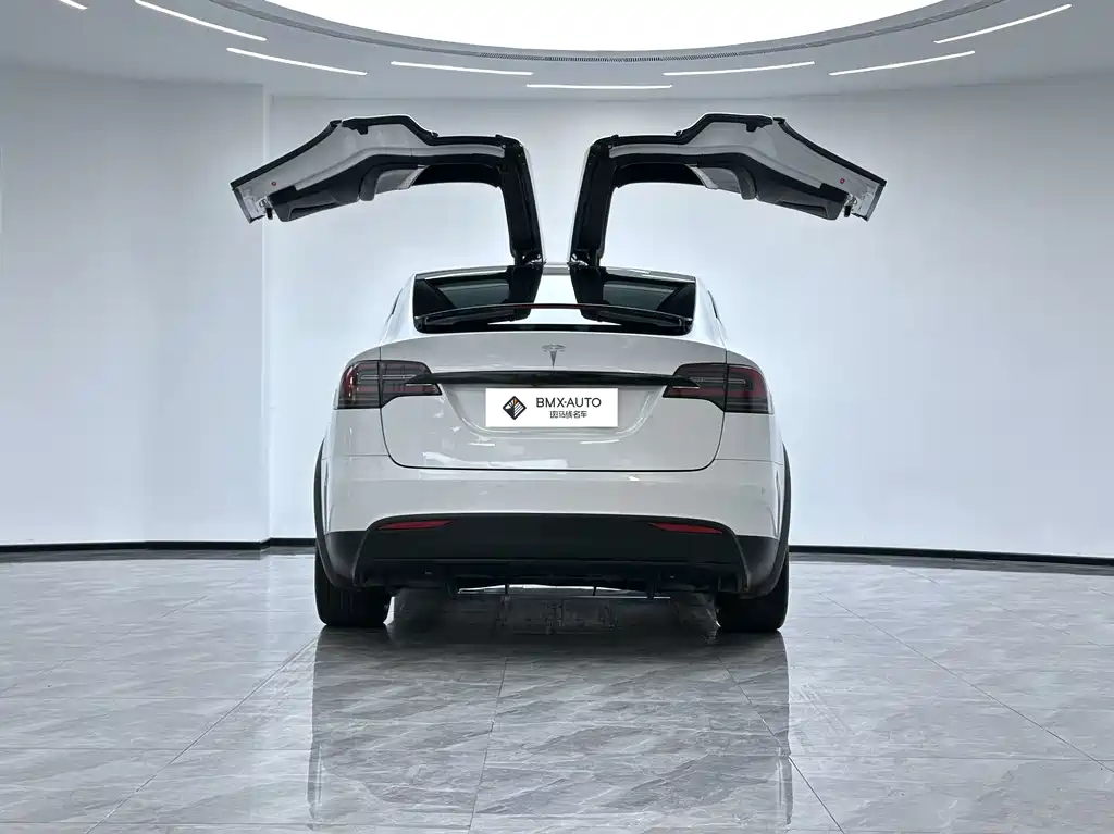 Tesla Model X 2017 — фото 6