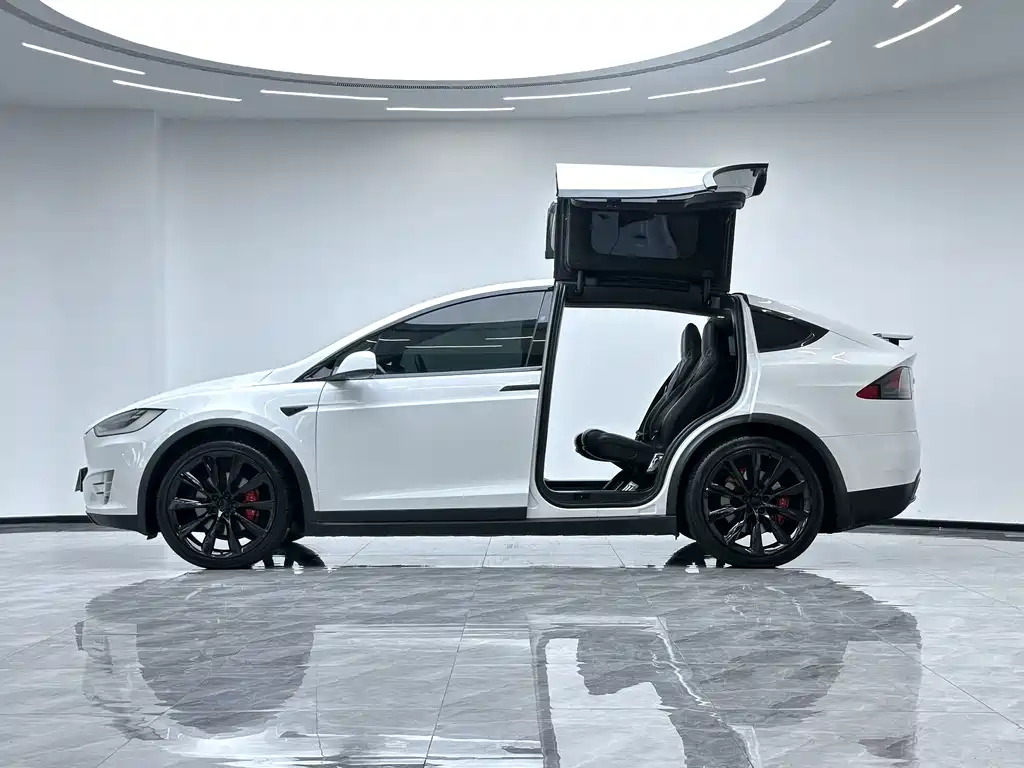 Tesla Model X 2017 — фото 8