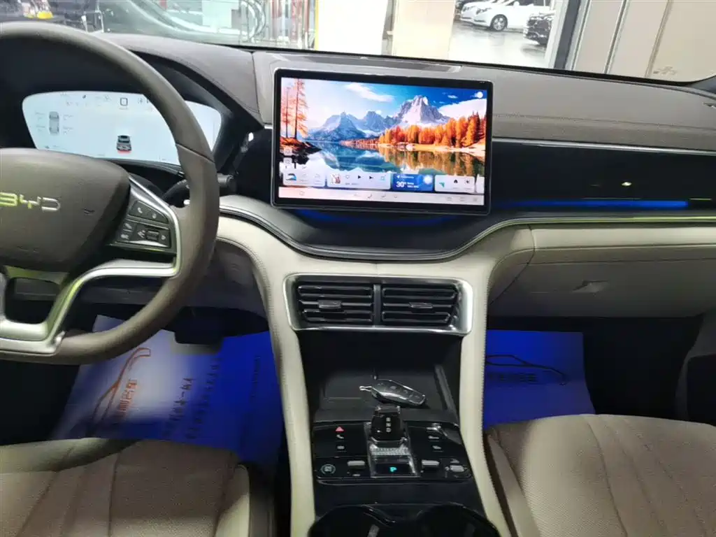 BYD PLUS New Energy 2025 — фото 13